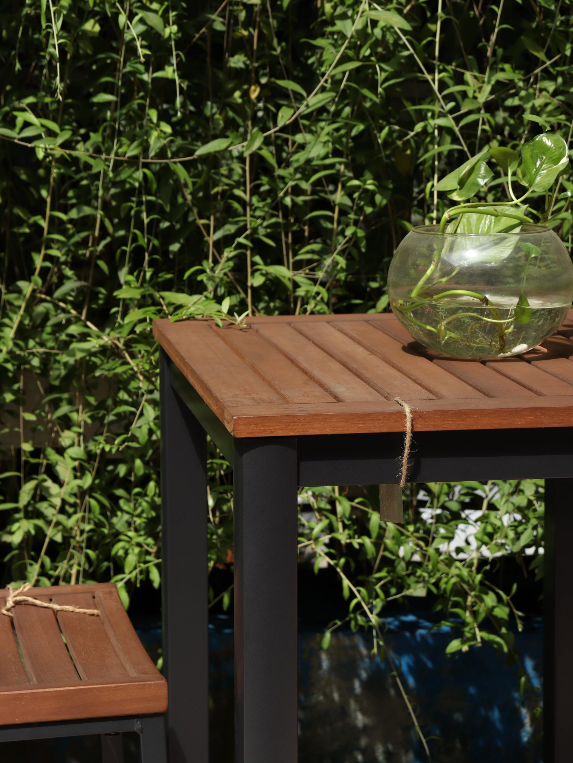 Ghế Bendigo - Hình ảnh 3